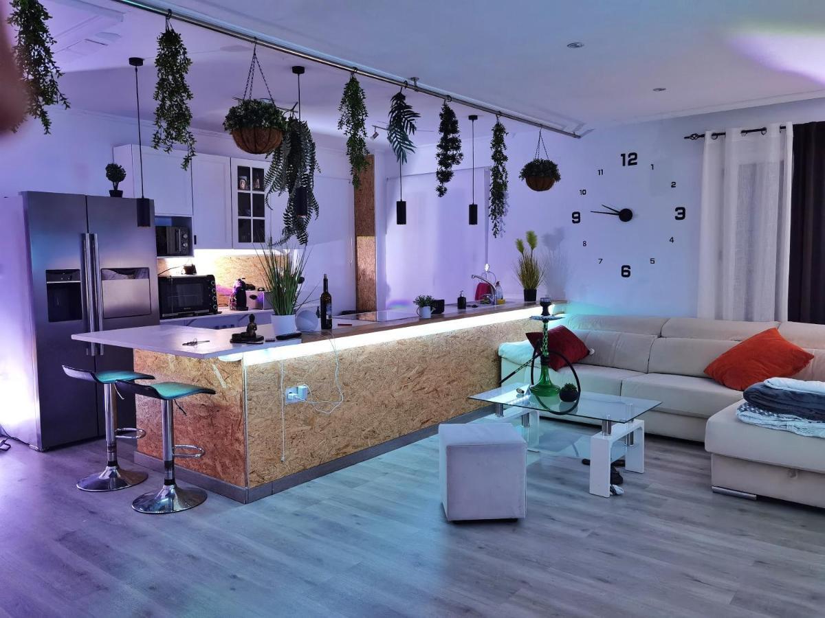 Stag Hendo25Pax Only 10Min To The Party Area Despedidas 25Pax 10 Min De La Zona De Fiesta Consultar Precio Benidorm Exterior foto